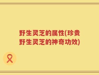 野生灵芝的属性(珍贵野生灵芝的神奇功效)