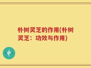 朴树灵芝的作用(朴树灵芝：功效与作用)