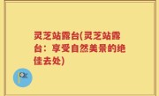 灵芝站露台(灵芝站露台：享受自然美景的绝佳去处)