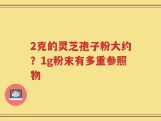 2克的灵芝孢子粉大约？1g粉末有多重参照物