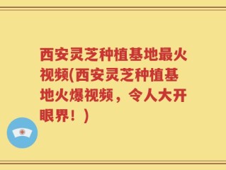 西安灵芝种植基地最火视频(西安灵芝种植基地火爆视频，令人大开眼界！)