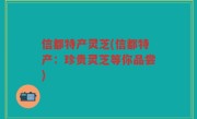 信都特产灵芝(信都特产：珍贵灵芝等你品尝)