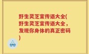 野生灵芝宣传语大全(野生灵芝宣传语大全，发现你身体的真正密码)