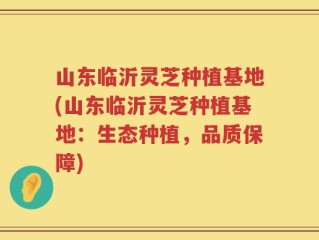 山东临沂灵芝种植基地(山东临沂灵芝种植基地：生态种植，品质保障)