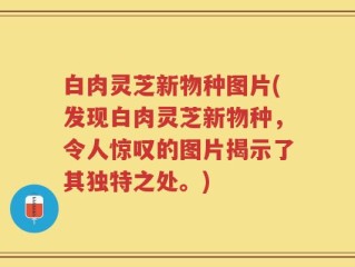 白肉灵芝新物种图片(发现白肉灵芝新物种，令人惊叹的图片揭示了其独特之处。)