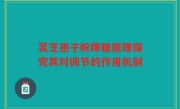 灵芝孢子粉降糖原理探究其对调节的作用机制