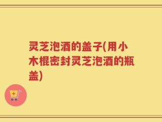 灵芝泡酒的盖子(用小木棍密封灵芝泡酒的瓶盖)