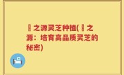 垚之源灵芝种植(垚之源：培育高品质灵芝的秘密)
