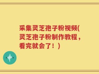采集灵芝孢子粉视频(灵芝孢子粉制作教程，看完就会了！)