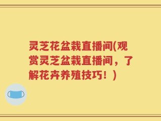 灵芝花盆栽直播间(观赏灵芝盆栽直播间，了解花卉养殖技巧！)