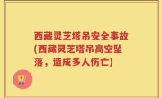 西藏灵芝塔吊安全事故(西藏灵芝塔吊高空坠落，造成多人伤亡)