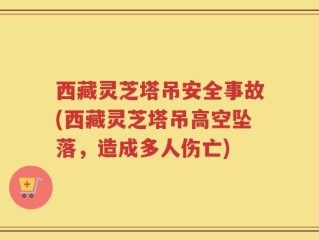 西藏灵芝塔吊安全事故(西藏灵芝塔吊高空坠落，造成多人伤亡)