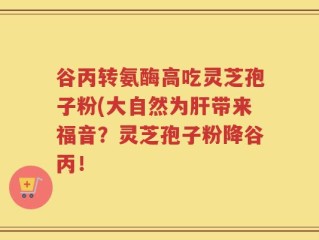 谷丙转氨酶高吃灵芝孢子粉(大自然为肝带来福音？灵芝孢子粉降谷丙！