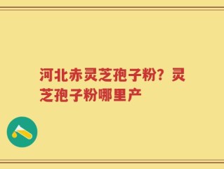 河北赤灵芝孢子粉？灵芝孢子粉哪里产