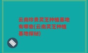 云南珍贵灵芝种植基地有哪些(云南灵芝种植基地探秘)