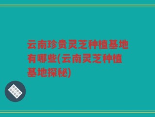 云南珍贵灵芝种植基地有哪些(云南灵芝种植基地探秘)