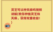 灵芝可以种天麻吗视频讲解(教你种植灵芝和天麻，获得双重收益！)
