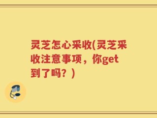 灵芝怎心采收(灵芝采收注意事项，你get到了吗？)