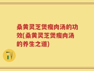 桑黄灵芝煲瘦肉汤的功效(桑黄灵芝煲瘦肉汤的养生之道)