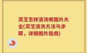 灵芝怎样清洗呢图片大全(灵芝清洗方法与步骤，详细图片指南)