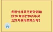 龙游竹林灵芝野外栽培技术(龙游竹林百年灵芝野外栽培技能分享)
