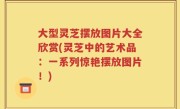 大型灵芝摆放图片大全欣赏(灵芝中的艺术品：一系列惊艳摆放图片！)