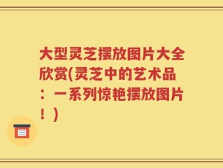 大型灵芝摆放图片大全欣赏(灵芝中的艺术品：一系列惊艳摆放图片！)
