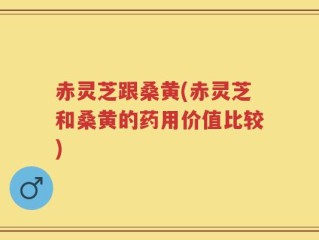 赤灵芝跟桑黄(赤灵芝和桑黄的药用价值比较)