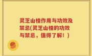 灵芝山楂作用与功效及禁忌(灵芝山楂的功效与禁忌，值得了解！)
