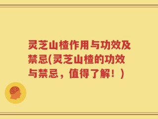 灵芝山楂作用与功效及禁忌(灵芝山楂的功效与禁忌，值得了解！)