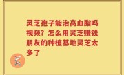 灵芝孢子能治高血脂吗视频？怎么用灵芝赚钱朋友的种植基地灵芝太多了