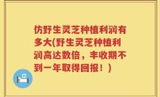 仿野生灵芝种植利润有多大(野生灵芝种植利润高达数倍，丰收期不到一年取得回报！)