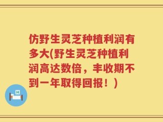 仿野生灵芝种植利润有多大(野生灵芝种植利润高达数倍，丰收期不到一年取得回报！)