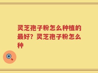 灵芝孢子粉怎么种植的最好？灵芝孢子粉怎么种