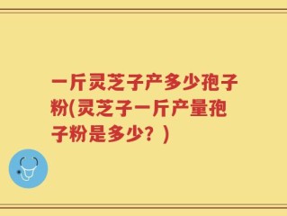 一斤灵芝子产多少孢子粉(灵芝子一斤产量孢子粉是多少？)