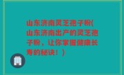 山东济南灵芝孢子粉(山东济南出产的灵芝孢子粉，让你掌握健康长寿的秘诀！)