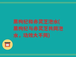 黑枸杞和赤灵芝泡水(黑枸杞与赤灵芝共同泡水，功效大不同)
