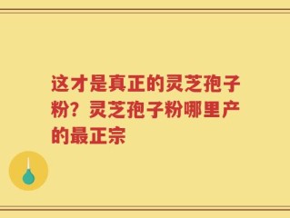 这才是真正的灵芝孢子粉？灵芝孢子粉哪里产的最正宗