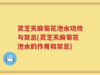 灵芝天麻菊花泡水功效与禁忌(灵芝天麻菊花泡水的作用和禁忌)