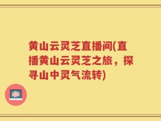 黄山云灵芝直播间(直播黄山云灵芝之旅，探寻山中灵气流转)