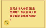 盘灵古域人参灵芝(重塑健康：盘灵古域人参灵芝助力身体焕发活力)