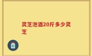 灵芝泡酒20斤多少灵芝