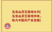 五龙山灵芝基地大刘(五龙山灵芝基地丰收，助力中医药产业发展)