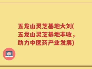 五龙山灵芝基地大刘(五龙山灵芝基地丰收，助力中医药产业发展)