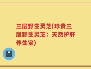 三层野生灵芝(珍贵三层野生灵芝：天然护肝养生宝)