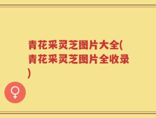 青花采灵芝图片大全(青花采灵芝图片全收录)