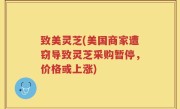 致美灵芝(美国商家遭窃导致灵芝采购暂停，价格或上涨)