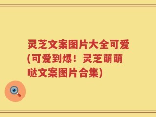 灵芝文案图片大全可爱(可爱到爆！灵芝萌萌哒文案图片合集)