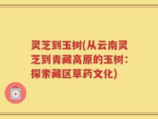 灵芝到玉树(从云南灵芝到青藏高原的玉树：探索藏区草药文化)