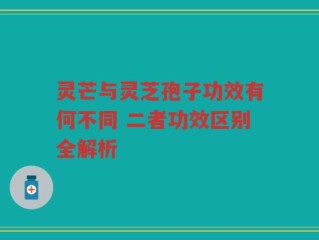 灵芒与灵芝孢子功效有何不同 二者功效区别全解析